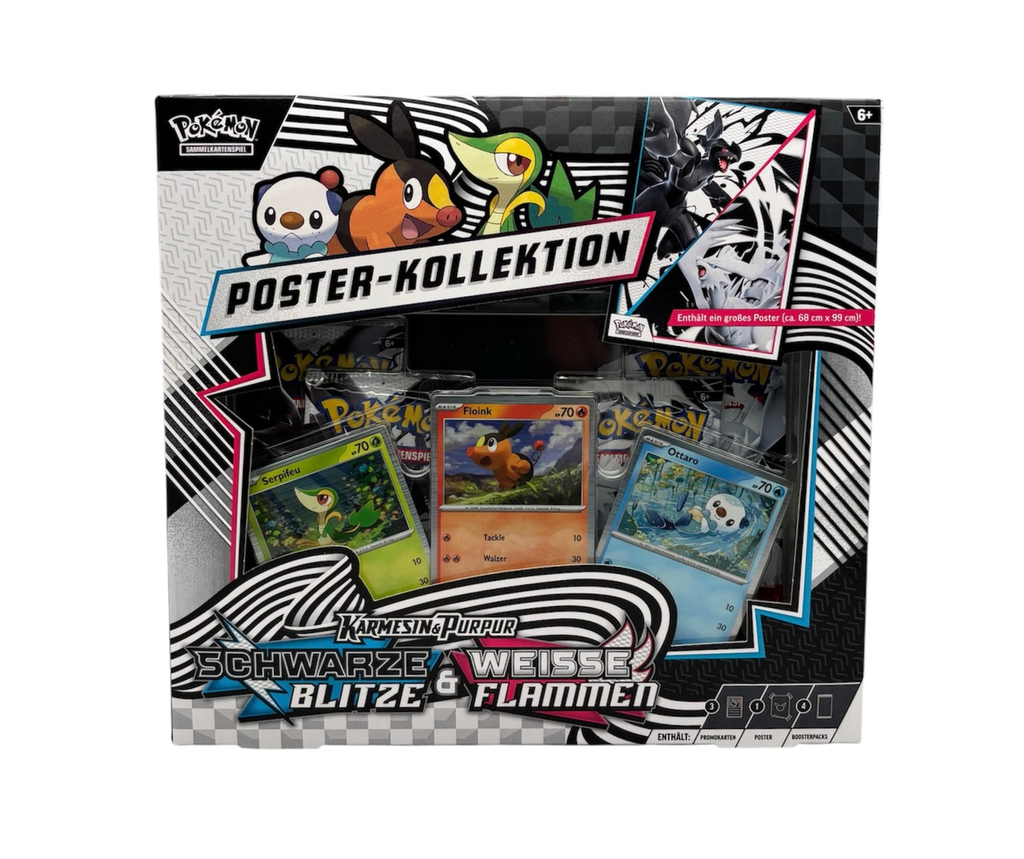 Pokemon Karmesin & Purpur Schwarze Blitze & Weiße Flammen Unova Poster Kollektion (deutsch)
