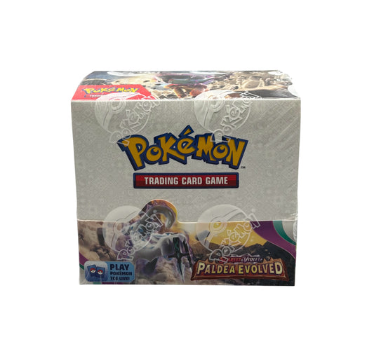 Pokemon Karmesin & Purpur Paldea Evolved Display (englisch)