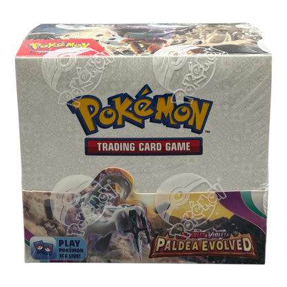 Pokemon Karmesin & Purpur Paldea Evolved Display (englisch)