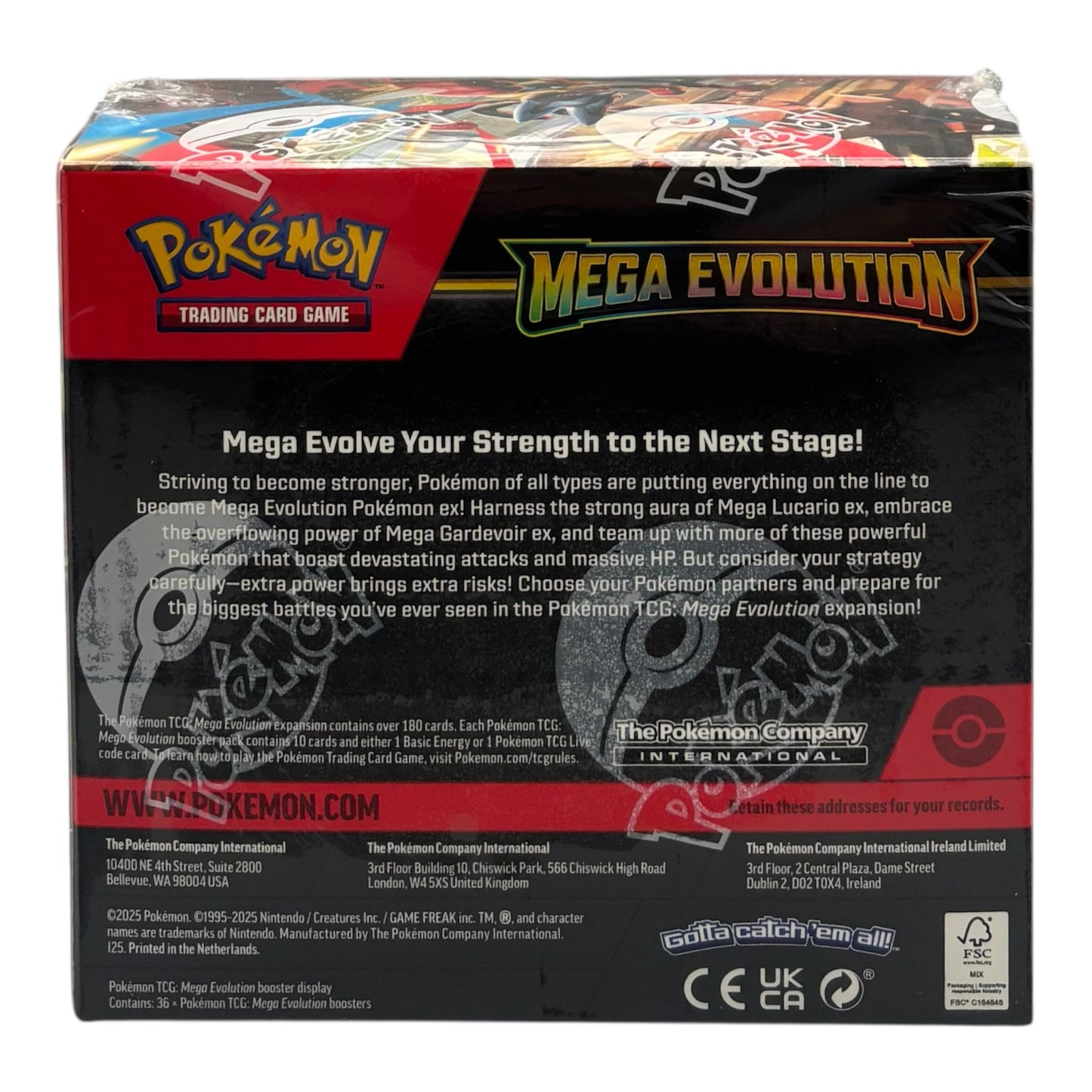 Pokemon Mega Entwicklungen Mega Evolution Display (englisch)
