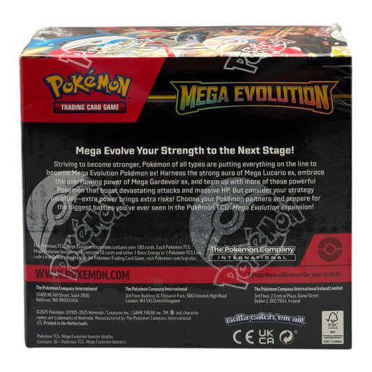 Pokemon Mega Entwicklungen Mega Evolution Display (englisch)